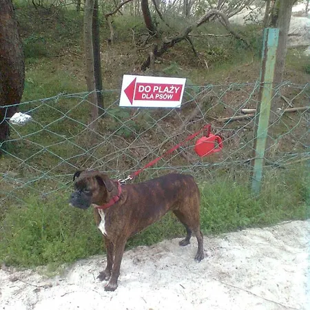 Sloneczne W Debinie *