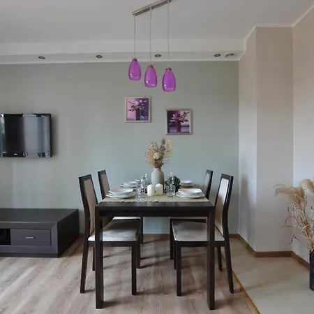 Apartment Sloneczne W Debinie *