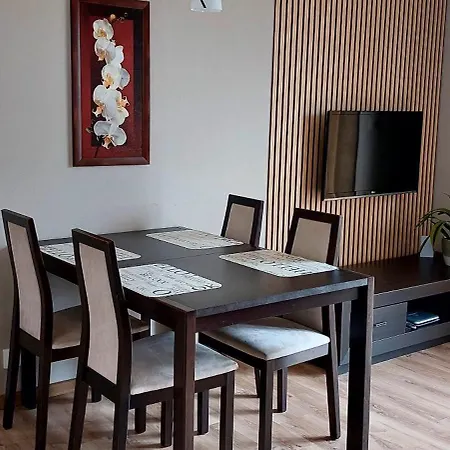 Apartamento Sloneczne W Debinie