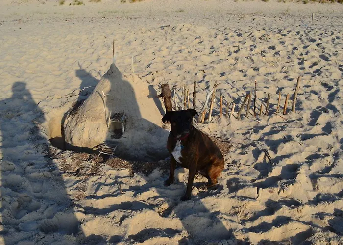Sloneczne W Debinie * Debina (Ustka)