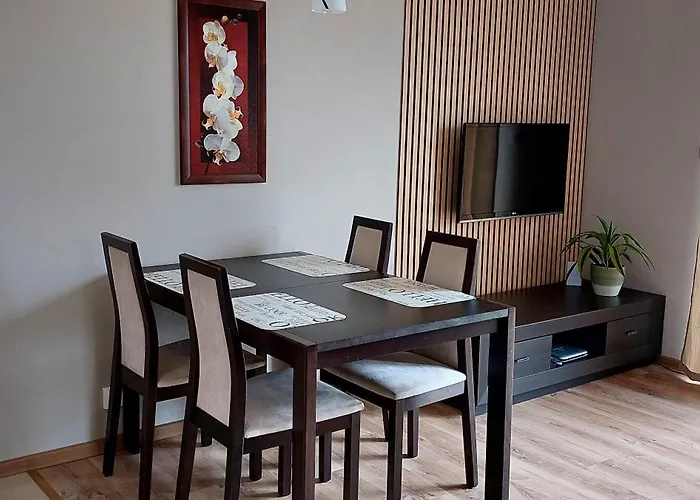 Apartamento Sloneczne W Debinie